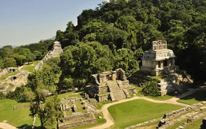 The Shocking Culprit Behind the Maya Collapse: New Archaeological Evidence Revealed - image 1