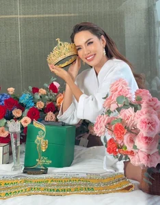 The Incredible Transformation of Le Hoang Phuong: From Background Actor to Queen - image 5