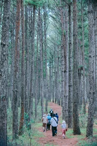 Top 2-in-1 Travel Destinations to Explore After Recent Provincial Mergers in Vietnam - image 3
