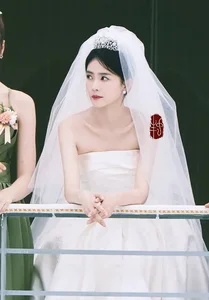 Bai Lu's Stunning Wedding Dress Photos Spark Netizen Controversy - image 0