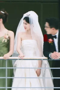 Bai Lu's Stunning Wedding Dress Photos Spark Netizen Controversy - image 6