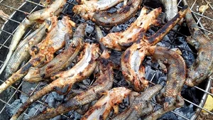 Tung Lo Mo: Discovering the Unique Cham Beef Sausage of An Giang - image 0