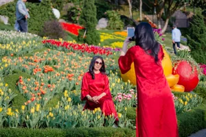 Spiritual Journey to Ba Den Mountain: Witnessing the Majestic Lady Buddha Statue and Lunar New Year Pilgrimage in Tay Ninh, Vietnam - image 5