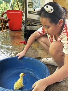 Social Media Trends: The Famous 'Smile' Girl and Heartwarming Viral News - image 10