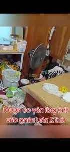 Social Media Trends: The Famous 'Smile' Girl and Heartwarming Viral News - image 7