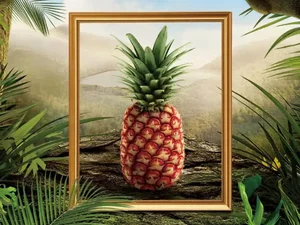 Luxury Harvest: Everything You Need to Know About the $400 Rare Pineapple - image 6