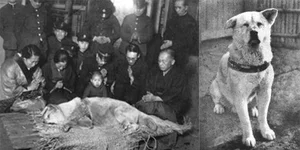 The Heartwarming Story Behind Tokyo Station's Famous Bronze Statue - image 9
