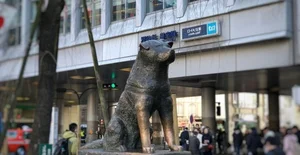 The Heartwarming Story Behind Tokyo Station's Famous Bronze Statue - image 0