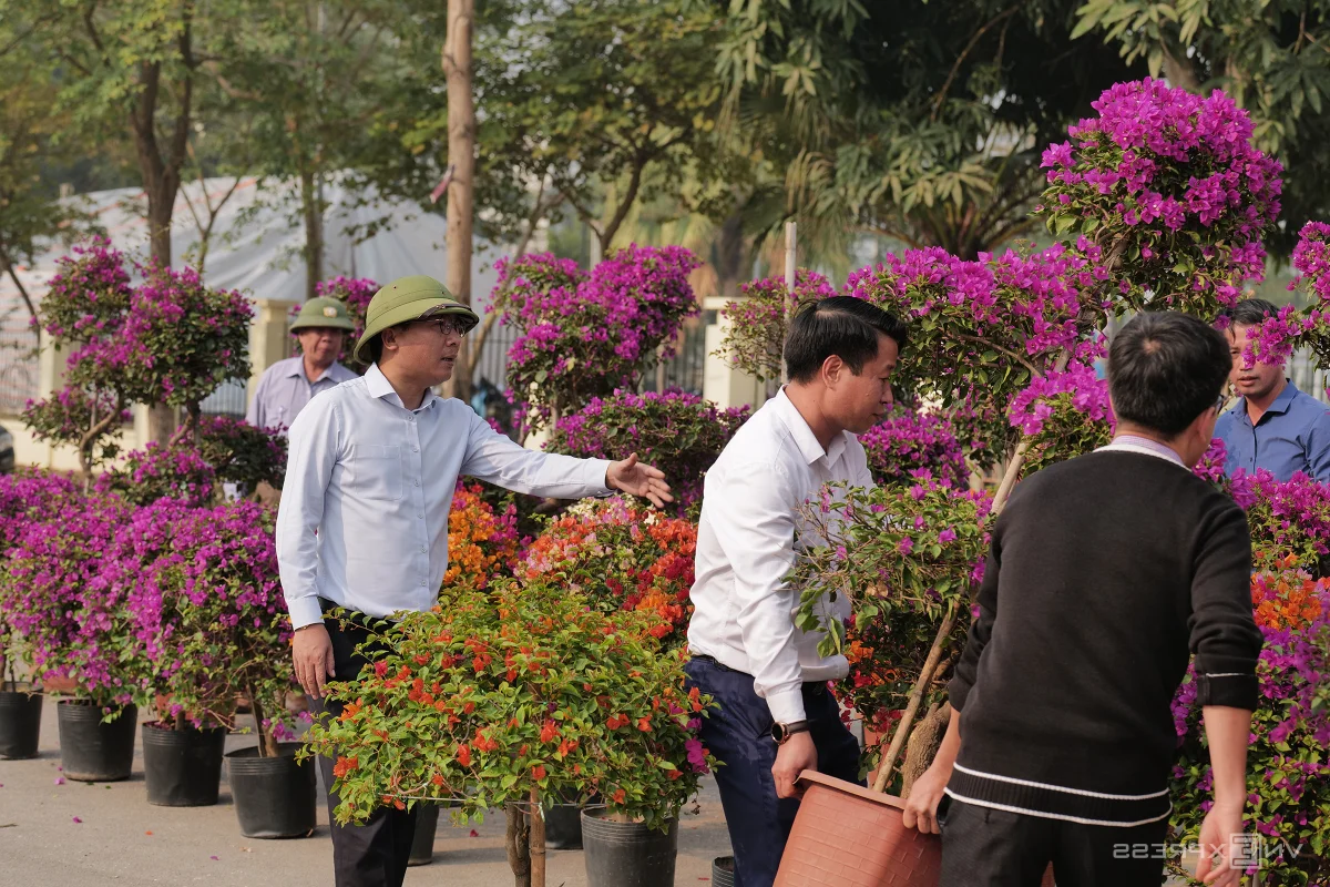 Northern Vietnam's Largest Flower Festival: 200 Tons of Blooms on Display