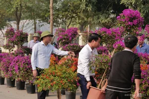 Northern Vietnam's Largest Flower Festival: 200 Tons of Blooms on Display - image 0