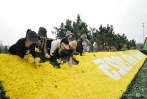 Northern Vietnam's Largest Flower Festival: 200 Tons of Blooms on Display - image 6