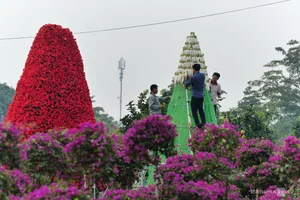 Northern Vietnam's Largest Flower Festival: 200 Tons of Blooms on Display - image 1