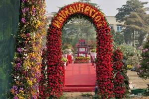 Northern Vietnam's Largest Flower Festival: 200 Tons of Blooms on Display - image 5