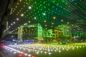 Spectacular 2,024 Drone Light Show Illuminates Hanoi Sky for Lunar New Year 2024 - image 13
