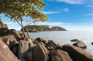 Top 4 Most Unique and Intriguingly Named Rocks in Vietnam - image 4