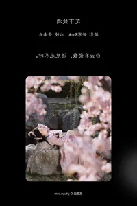YiTuYu Art Language Vol.7161: Stunning Portraiture of Yin Nan Yun - image 20
