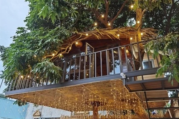 Inside the Unique 130 Million VND Treehouse Tucked Away in Hanoi
