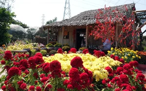 Fairytale Garden in Can Tho: Nguyen Thi Kim Ngan’s 1,500m2 Oasis - image 10