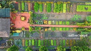Fairytale Garden in Can Tho: Nguyen Thi Kim Ngan’s 1,500m2 Oasis - image 3