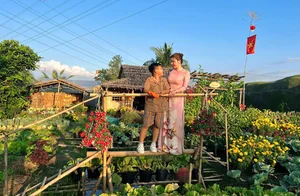 Fairytale Garden in Can Tho: Nguyen Thi Kim Ngan’s 1,500m2 Oasis - image 4