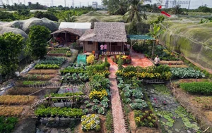 Fairytale Garden in Can Tho: Nguyen Thi Kim Ngan’s 1,500m2 Oasis - image 6