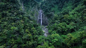 Conquering Hung Ngan Waterfall: A Hidden Gem in the Wild Forests of Quang Ngai - image 2