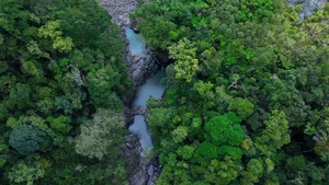 Conquering Hung Ngan Waterfall: A Hidden Gem in the Wild Forests of Quang Ngai - image 5