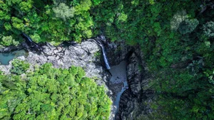 Conquering Hung Ngan Waterfall: A Hidden Gem in the Wild Forests of Quang Ngai - image 9