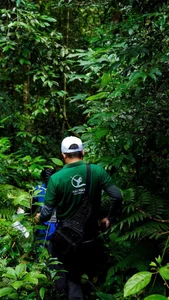 Conquering Hung Ngan Waterfall: A Hidden Gem in the Wild Forests of Quang Ngai - image 11