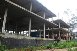 The Demolition of 26 Villas in Măng Đen: A Look at the Current State - image 7