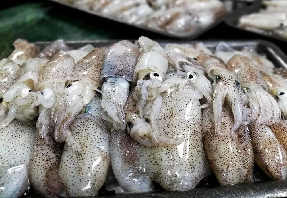 South Korea Spends $42 Million on Booming Seafood Imports: A Global Market Shift