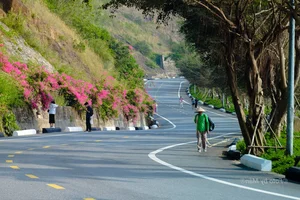 The Best Cycling Routes in Da Nang: My Tam's Hometown - image 3