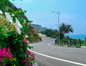 The Best Cycling Routes in Da Nang: My Tam's Hometown - image 4