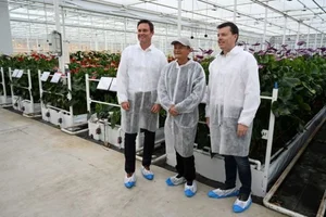 Where Is Jack Ma Now? The Quiet Life of Alibaba’s Legendary Founder - image 4