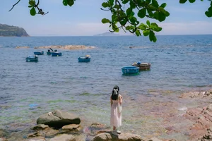 Discover Phu Yen: The Most Beautiful Season to Visit Vietnam's Coastal Paradise - image 8