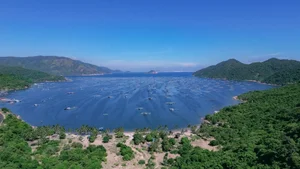 Discover Phu Yen: The Most Beautiful Season to Visit Vietnam's Coastal Paradise - image 0