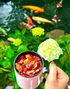 Inside the Breathtaking Floral Villa of Northern Vietnam's Wealthiest Celebrity Star - image 7