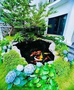 Inside the Breathtaking Floral Villa of Northern Vietnam's Wealthiest Celebrity Star - image 0