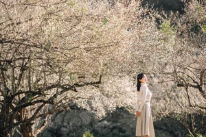The Ultimate Moc Chau Travel Guide 2025: Tips and Hidden Gems - image 7