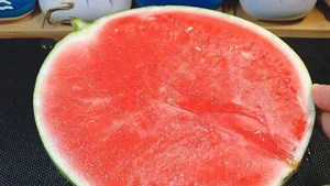 The Genius Chopstick Trick to Pick the Perfect Watermelon - image 5