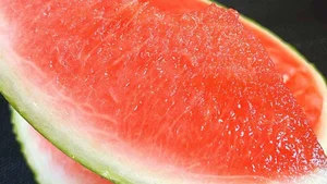 The Genius Chopstick Trick to Pick the Perfect Watermelon - image 1