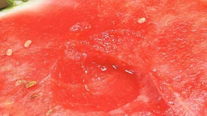 The Genius Chopstick Trick to Pick the Perfect Watermelon - image 2
