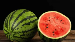 The Genius Chopstick Trick to Pick the Perfect Watermelon - image 3