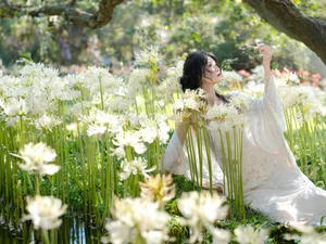 Ethereal Beauty in a White Flower Field: A Muse Under the Sun - image 19