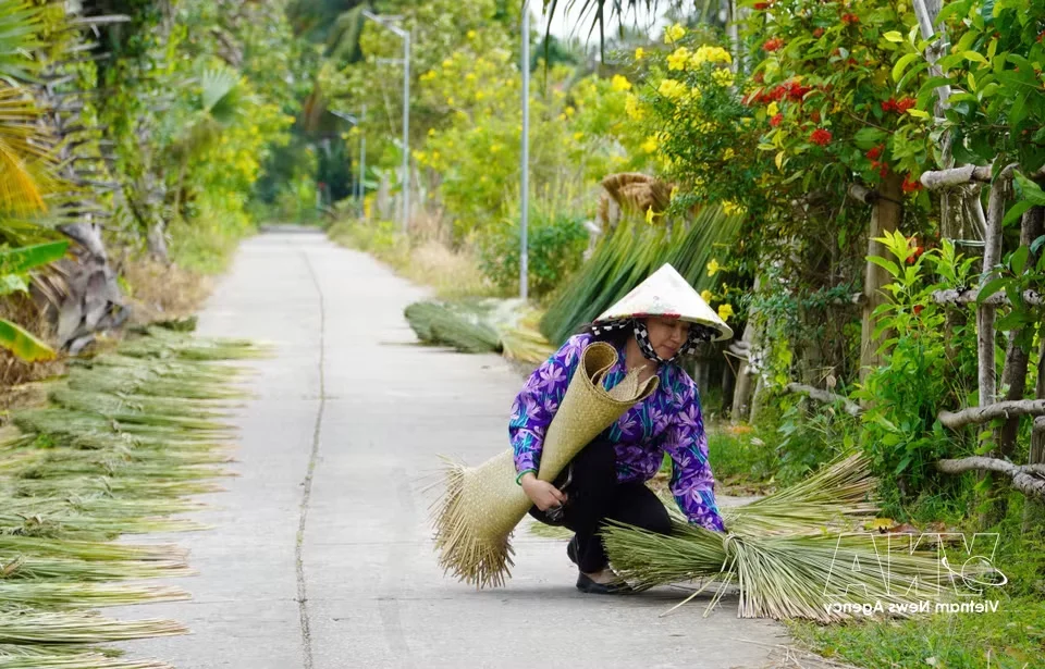 Traditional Sedge Grass Handicrafts by Artisans in An Giang