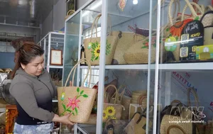 Traditional Sedge Grass Handicrafts by Artisans in An Giang - image 1