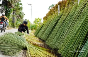 Traditional Sedge Grass Handicrafts by Artisans in An Giang - image 3