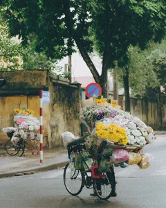 Hanoi Autumn: A Season of Beauty and Economic Opportunity - image 5