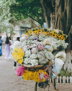 Hanoi Autumn: A Season of Beauty and Economic Opportunity - image 2