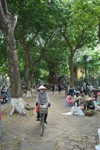 Hanoi Autumn: A Season of Beauty and Economic Opportunity - image 4